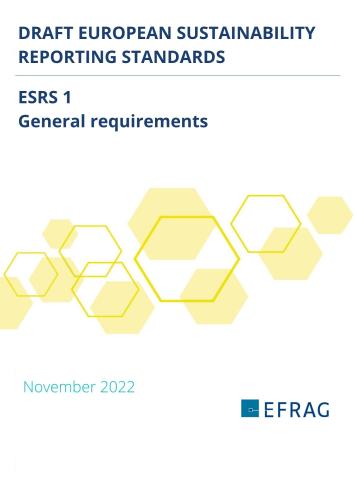 6._esrs_1_general_requirements.jpg